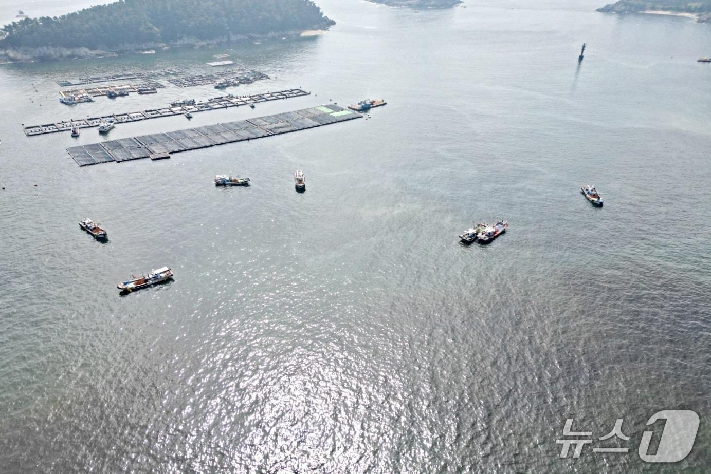 본문 이미지 - 적조 방제 현장.(사천해경 제공. 재판매 및 DB금지)