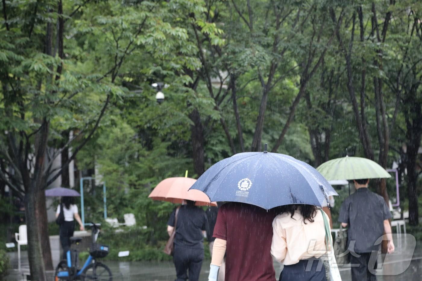 가을비 내리는 날. 2025.9.4/뉴스1 ⓒ News1 권준언 기자