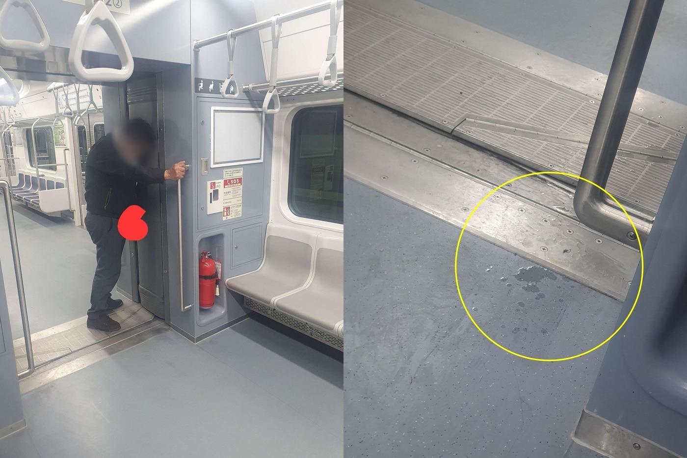 (보배드림 갈무리)