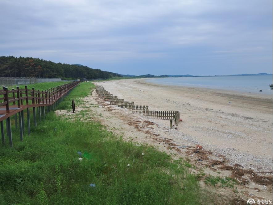 본문 이미지 - 보령 소황사구.&#40;충남도 제공. 재판매 및 DB금지&#41;/뉴스1