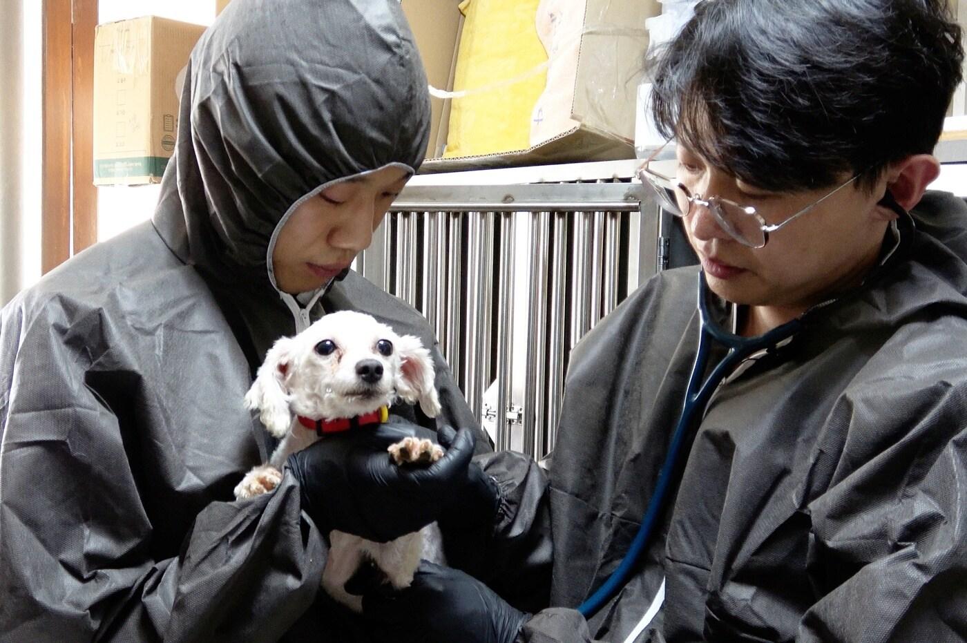 월드펫동물메디컬센터 김동현 원장&#40;오른쪽&#41;과 오시우 사무장이 행복한 유기견 세상 보호소에서 의료 봉사를 진행하고 있다&#40;동물병원 제공&#41;. ⓒ 뉴스1