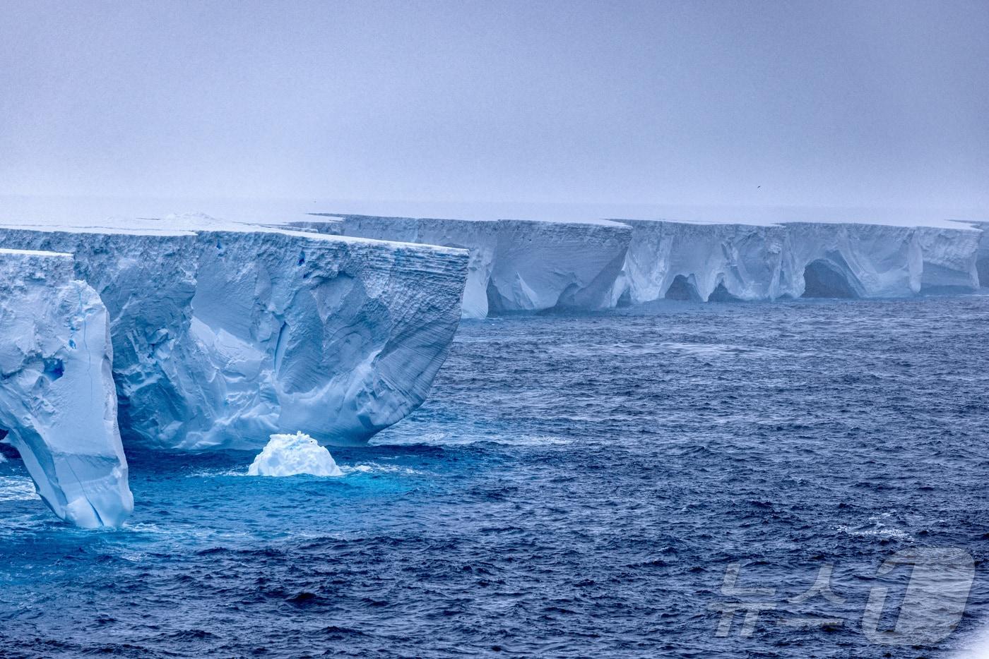 2024년 1월 14일(현지시간) 세계에서 가장 큰 빙산 A23a를 남극에서 촬영한 모습. <사진=롭 수이스티드 http://naturespic.com> 2024.01.14. ⓒ 로이터=뉴스1 ⓒ News1 윤다정 기자