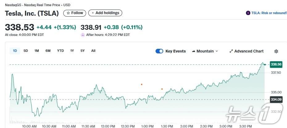 본문 이미지 - 테슬라 일일 주가추이 - 야후 파이낸스 갈무리