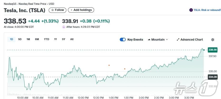 본문 이미지 - 테슬라 일일 주가추이 - 야후 파이낸스 갈무리