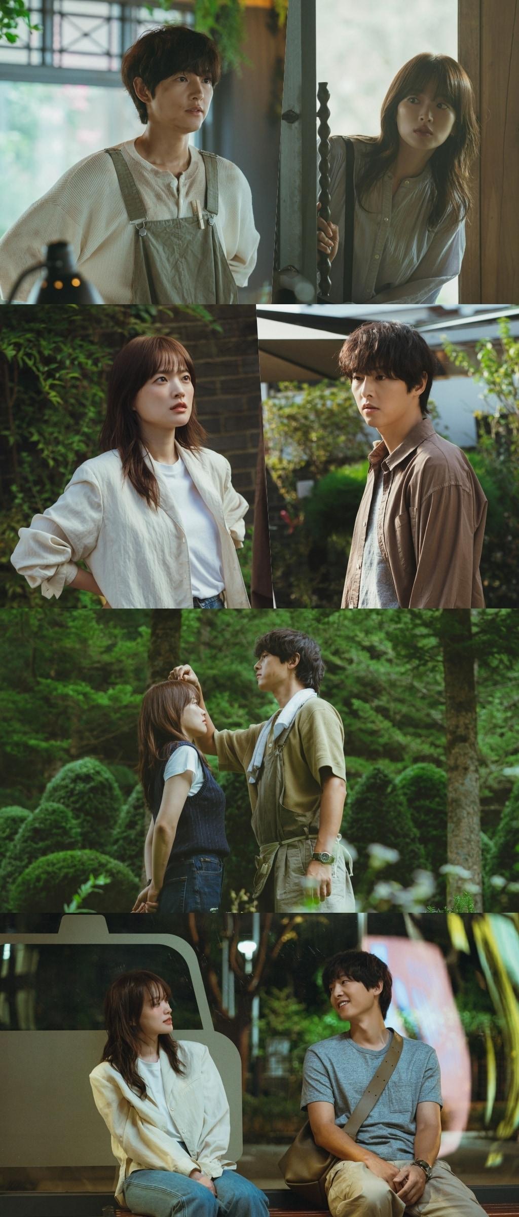 본문 이미지 - JTBC '마이 유스'