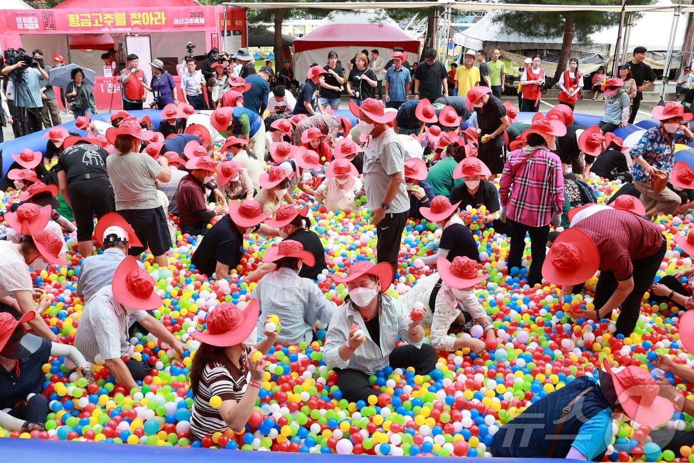 5일 충북 괴산유기농엑스포광장 일원에서 열린 2025 괴산고추축제에서 관람객들이 황금고추를 찾고 있다. 2025.9.5/뉴스1 ⓒ News1 이성기 기자