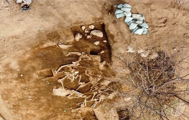 본문 이미지 - 여수·순천10·19사건 진상규명 및 희생자 명예회복위원회 광양 매티재 발굴 현장.(여순사건 진상규명위원회 제공. 재판매 및 DB금지)2025.9.5/뉴스1