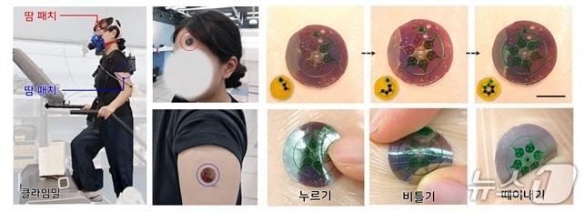 본문 이미지 - 땀 속 대사산물을 동시에 실시간 분석할 수 있는 웨어러블 센서 착용 예시(KAIST 제공) /뉴스1