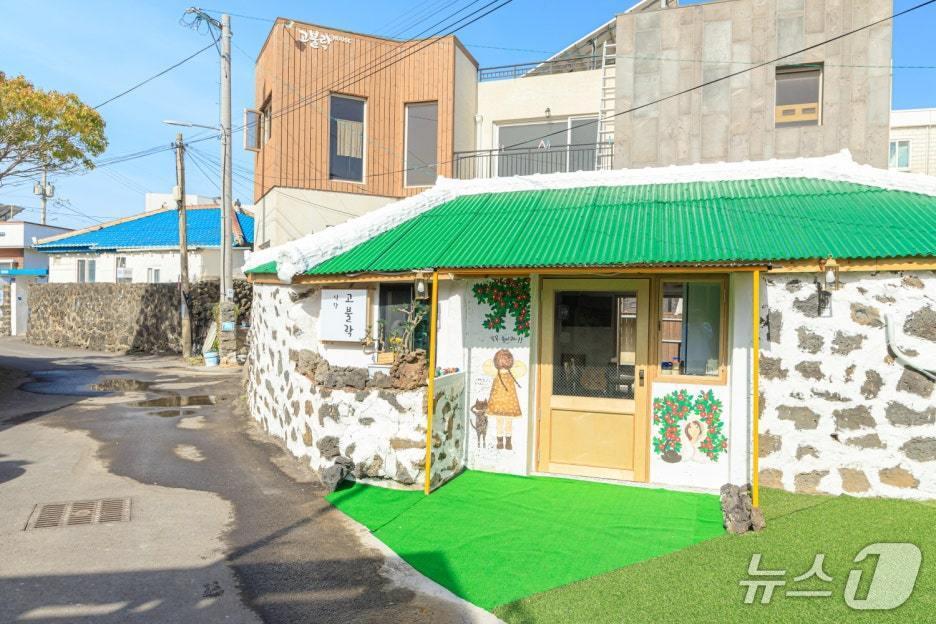 본문 이미지 - 애월 고불락&#40;애월 고불락 블로그 갈무리. 재판매 및 DB금지&#41;/뉴스1