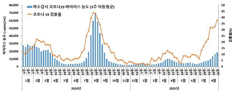 본문 이미지 - '2024년 1주~2025년 35주' 코로나19 바이러스 검출률 및 하수 감시 현황(질병관리청 제공)