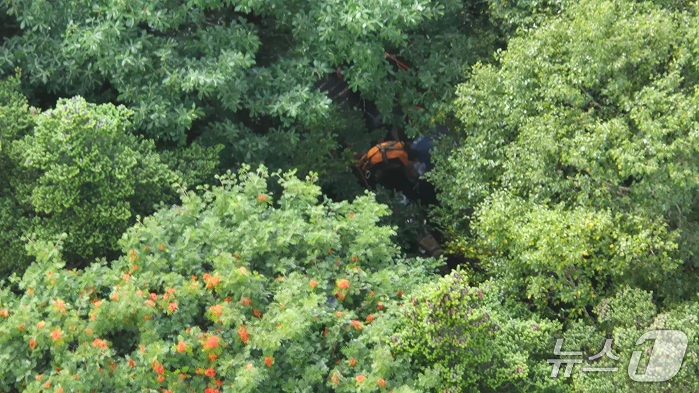 5일 한라산을 등반하던 60대 심정지로 쓰러지는 사고가 발생했다.(제주도 소방안전본부 제공. 재판매 및 DB 금지)/뉴스1 