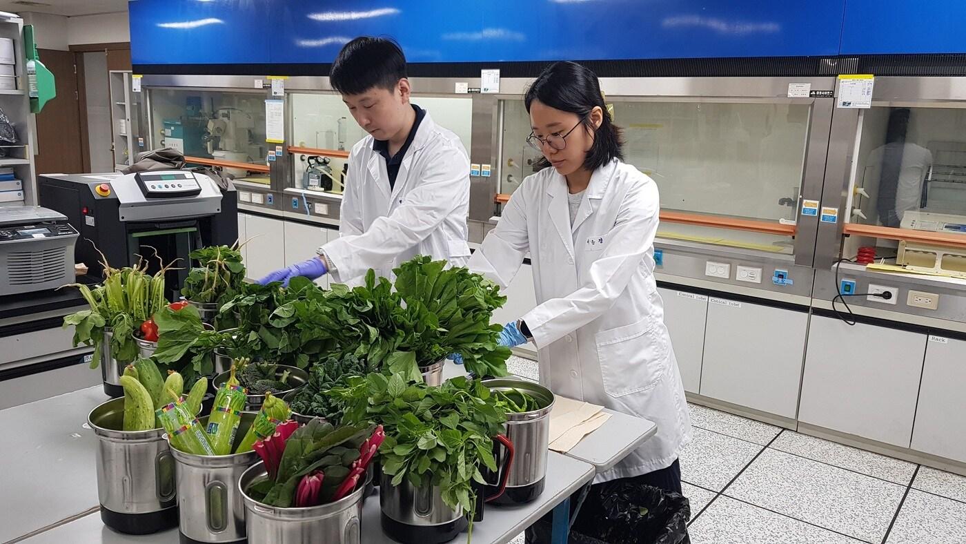 잔류농약 검사 진행 모습.(대전시 제공. 재판매 및 DB금지)/뉴스1