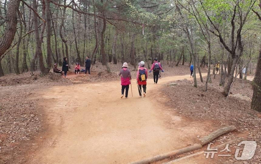 본문 이미지 - 울산 중구 황방산 맨발등산로. /뉴스1 DB