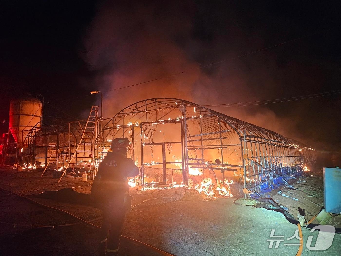 본문 이미지 - 화재가 발생한 고창 양계장 현장.&#40;전북소방 제공. 재판매 및 DB금지&#41;