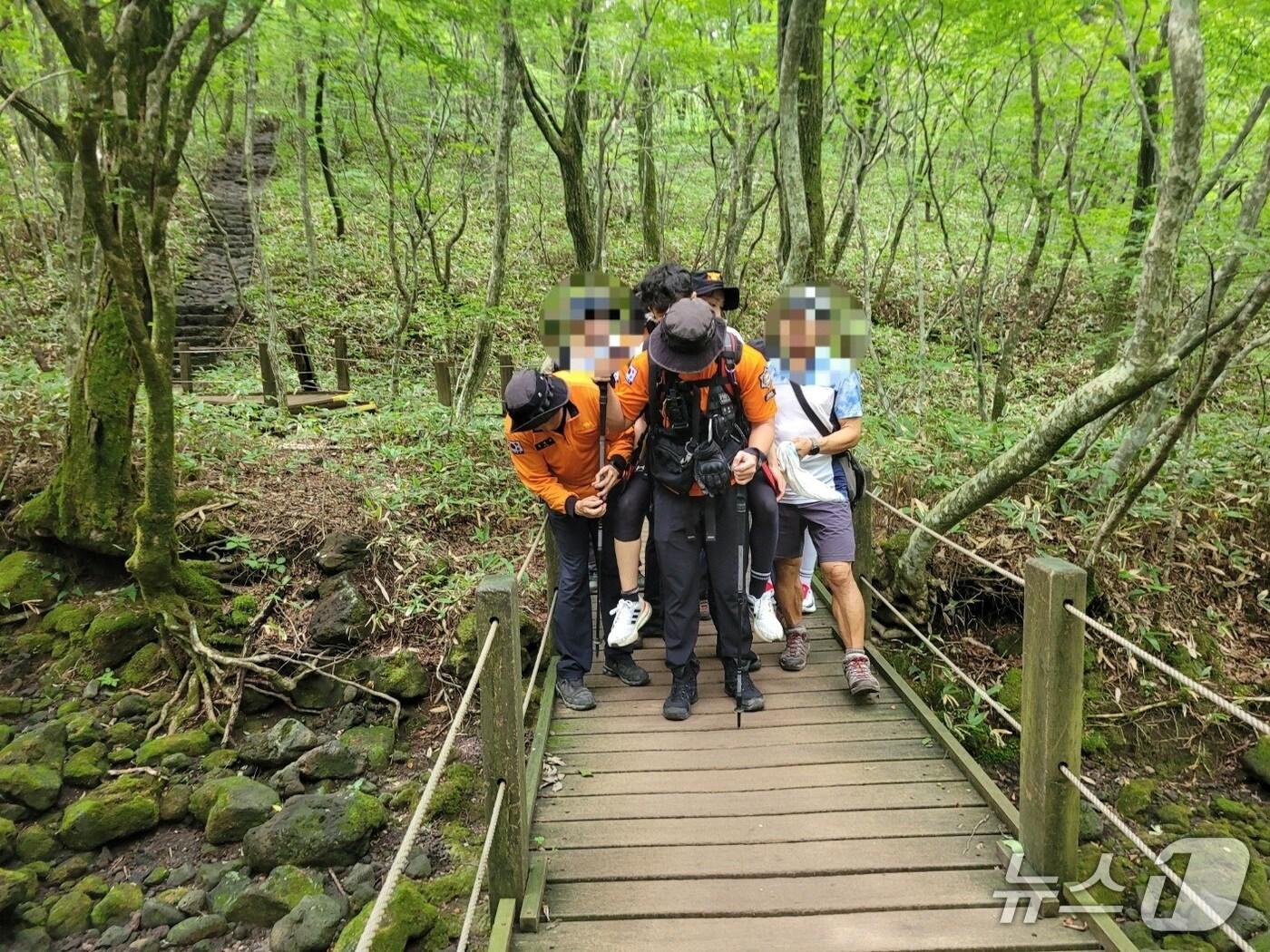 본문 이미지 - 6일 제주 한라산을 오르던 10대가 말벌에 쏘이는 사고가 발생했다./뉴스1 