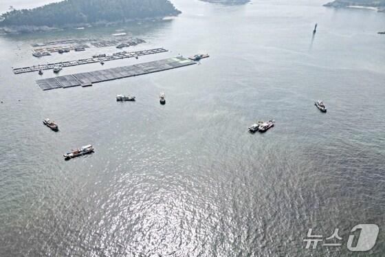 본문 이미지 - 적조 방제 현장.&#40;사천해경 제공. 재판매 및 DB금지&#41;