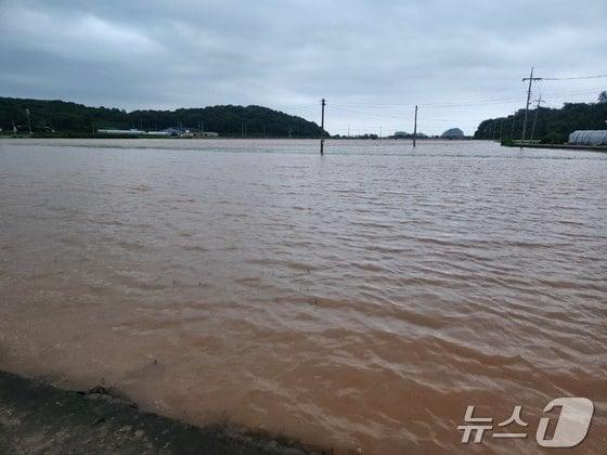 본문 이미지 - 충남 서천군 일대가 물에 잠긴 모습. (사진은 기사내용과 관계없음). / 뉴스1 