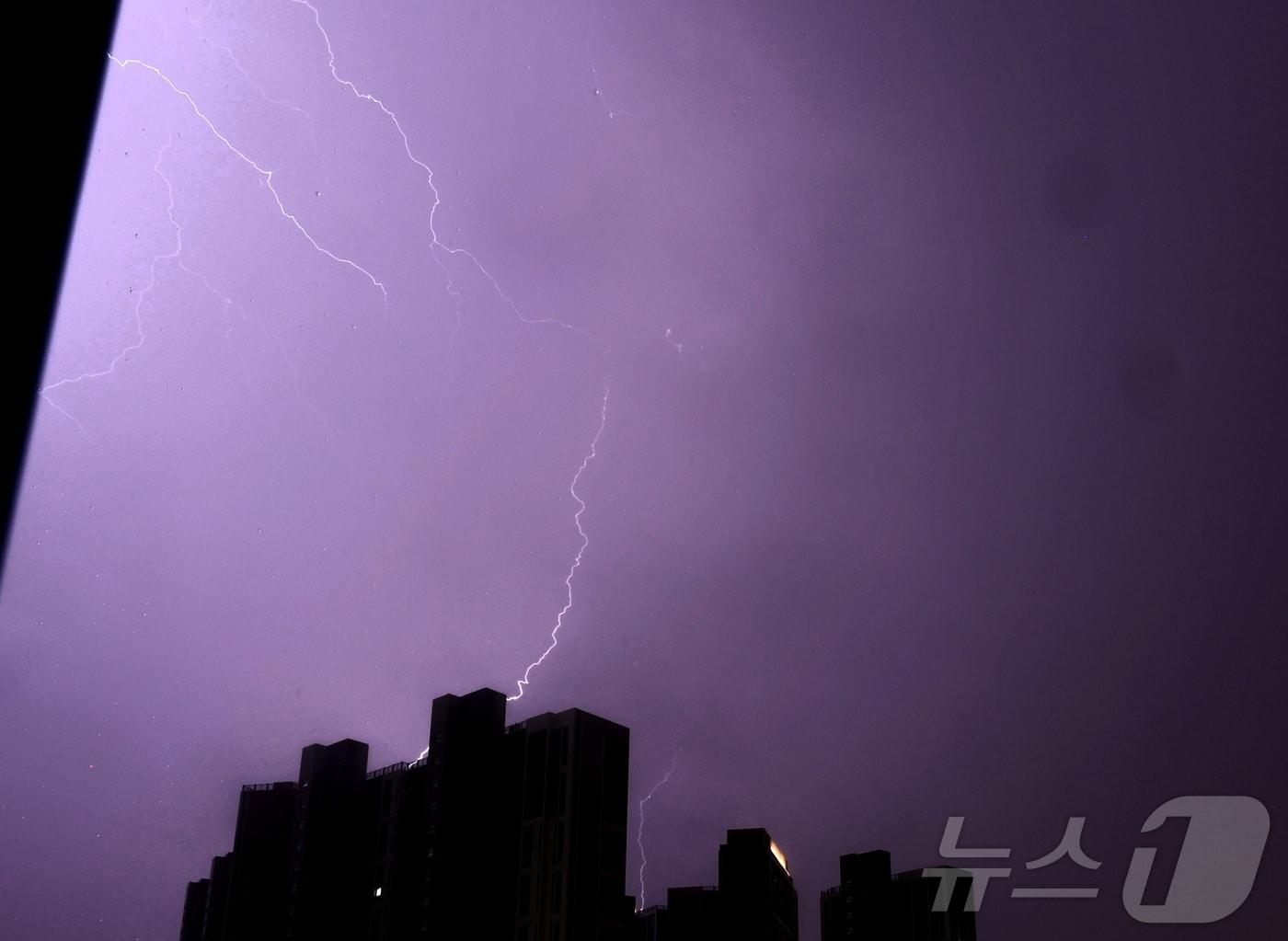 본문 이미지 - 낙뢰 자료 사진./뉴스1