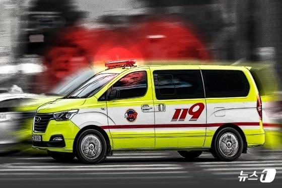 본문 이미지 - ⓒ News1 김지영 디자이너