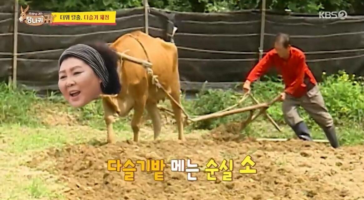본문 이미지 - KBS 2TV'사장님 귀는 당나귀 귀' 캡처