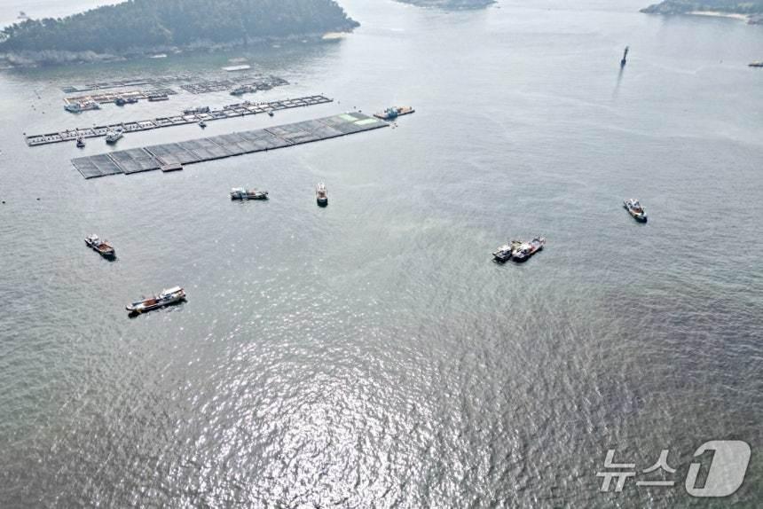 본문 이미지 - 적조 방제 현장.&#40;사천해경 제공. 재판매 및 DB금지&#41;