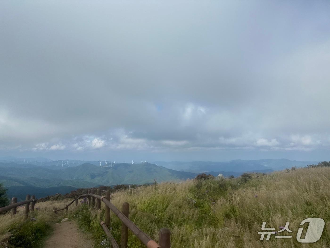 본문 이미지 - 강원도 태백시 함백산 정상 일대. 2025.9.6/뉴스1 ⓒ 이상휼 기자