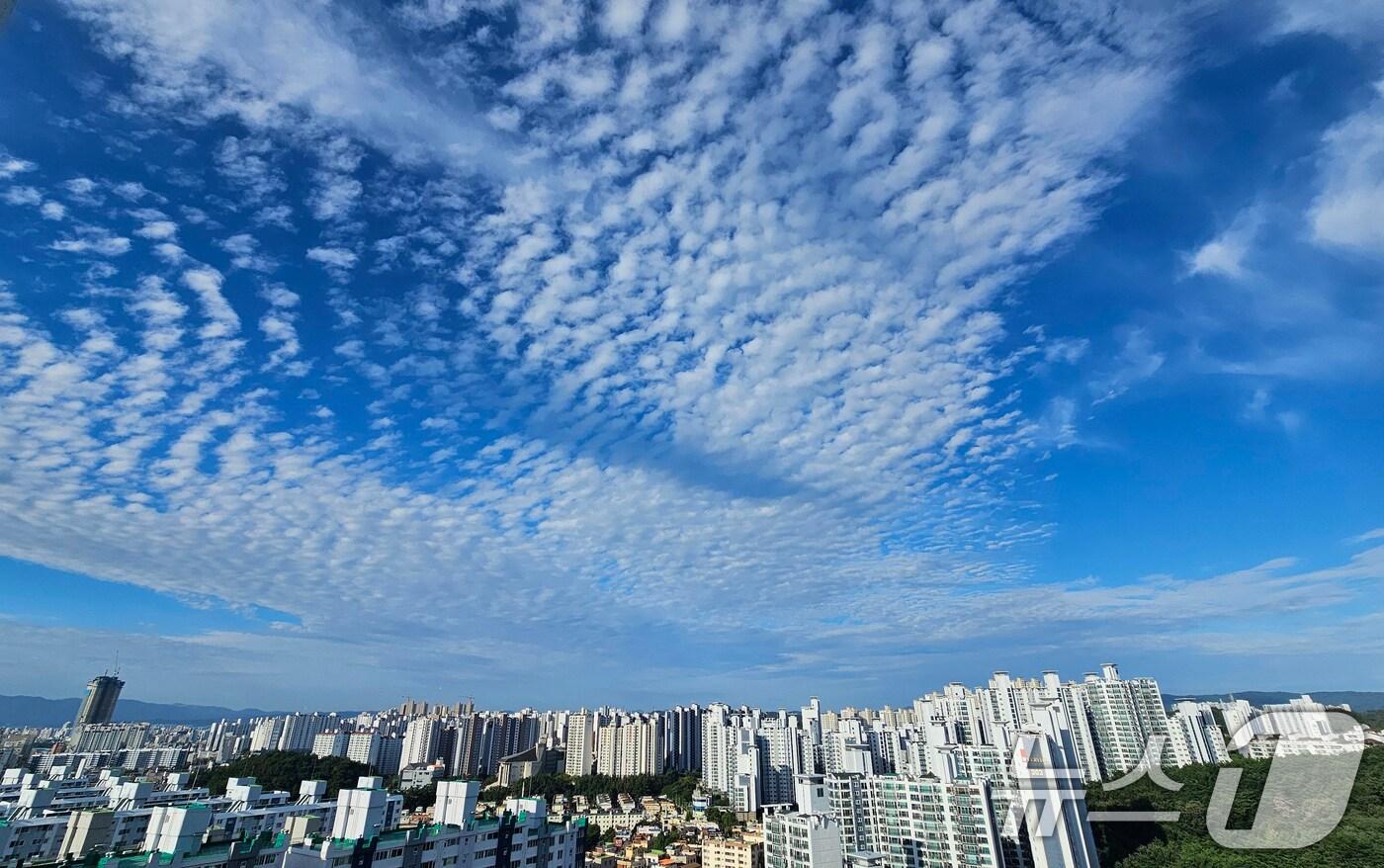 8일 오전 경북 포항시 상공위로 푸른 가을 하늘이 펼쳐지고 있다. 2025.9.8/뉴스1 ⓒ News1 최창호 기자