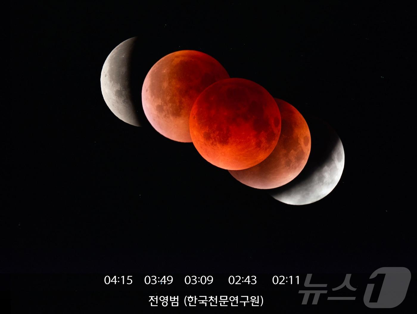 본문 이미지 - 2025년 9월 8일 경북 영천시 보현산천문과학관에서 관측된 ‘개기월식’. 개기월식은 태양·지구·달이 일직선에 놓일 때 지구 그림자가 달을 완전히 가리면서 발생한다. (한국천문연구원 제공, 재판매 및 DB 금지) 2025.9.8 ⓒ 뉴스1 김진환 기자