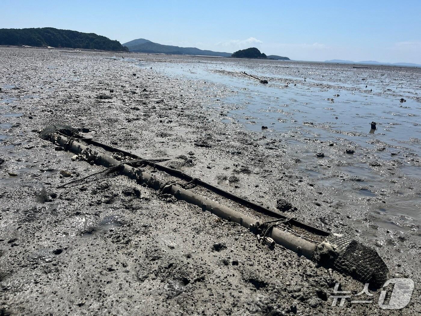 본문 이미지 - 불법 칠게 포획 어구(인천녹색연합 제공.재판매 및 DB금지)
