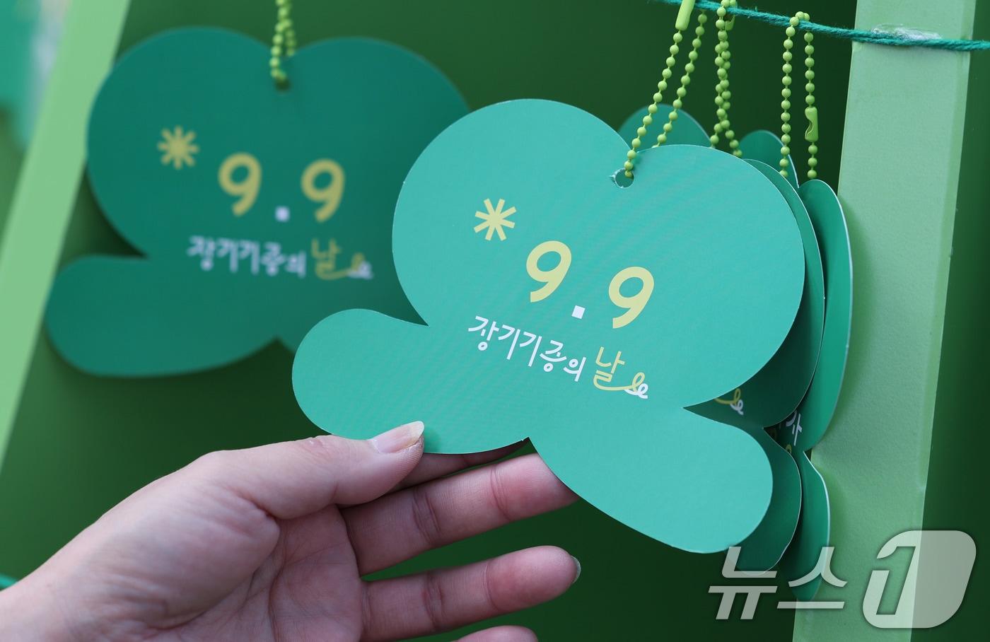 지난달 8일 서울광장에서 열린 2025 서울시 장기기증의 날 행사를 찾은 장기이식자들이 초록리본을 매달고 있다. /뉴스1 ⓒ News1 박지혜 기자