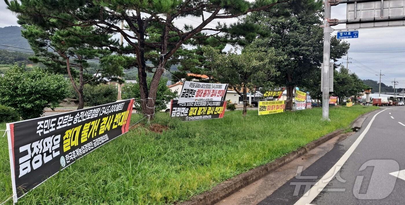 9일 전남 영암군 금정면의 도로변 곳곳에 내걸린 현수막. 한전이 추진하는 345㎸&#40;킬로볼트&#41; 고압 송전선로와 철탑 건설을 반대한다는 내용이 담겨 있다.&#40;독자 제공, 재배포 및 DB 금지&#41;/뉴스1