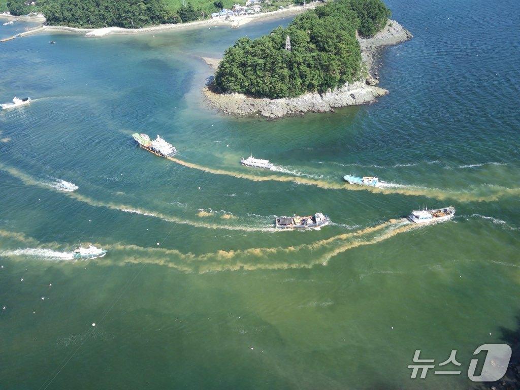 본문 이미지 - 적조 방제를 위한 황토 살포.&#40;통영시 제공. 재판매 및 DB금지&#41;