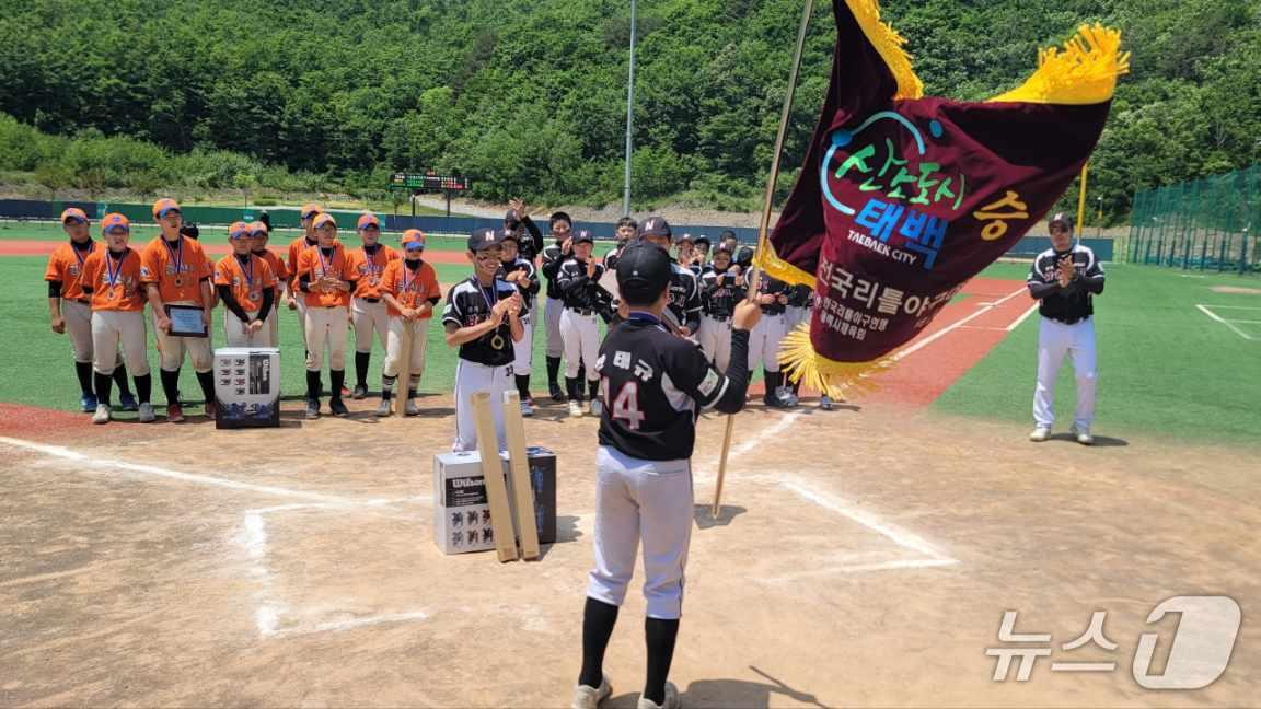 본문 이미지 - 태백산배 전국 리틀야구대회의 예년 우승팀 자료 시진. &#40;태백시 제공. 재판매 및 DB금지&#41; 2025.9.9/뉴스1