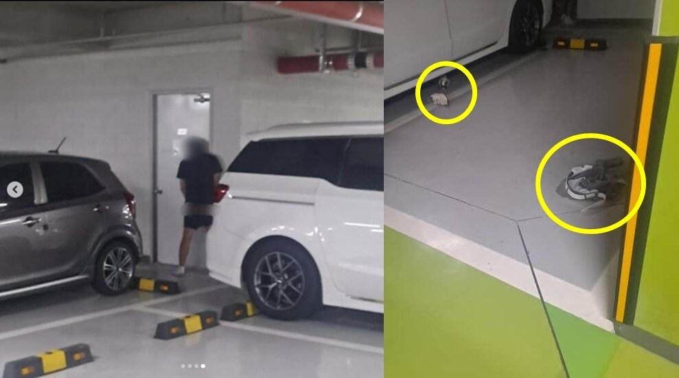 본문 이미지 - (보배드림 갈무리)