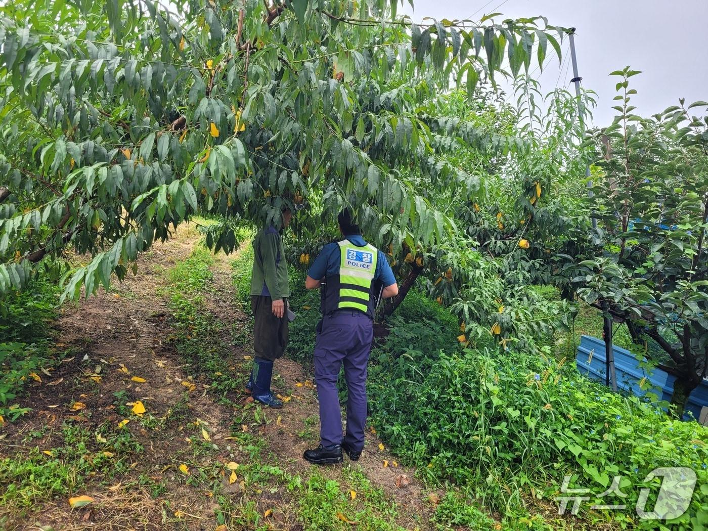 본문 이미지 - 전북경찰청이 가을 수확철을 맞아 농산물 절도 예방활동을 전개한다.(전북경찰청 제공. 재판매 및 DB금지)