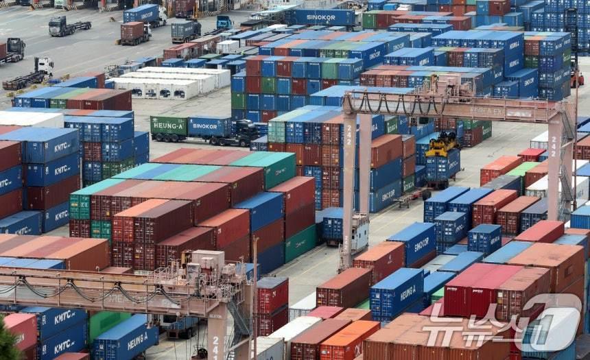 본문 이미지 - 부산항 신선대부두 야적장. <자료사진> 2025.8.11/뉴스1 ⓒ News1 윤일지 기자