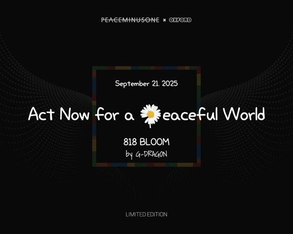 본문 이미지 - 사진=엠트리아이앤씨 제공