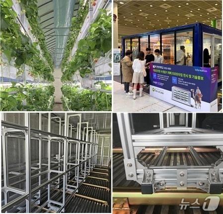 본문 이미지 - 건양대 스마트팜학부 홍보사진. (건양대학교 제공. 재판매 및 DB금지)2025.9.9./뉴스1