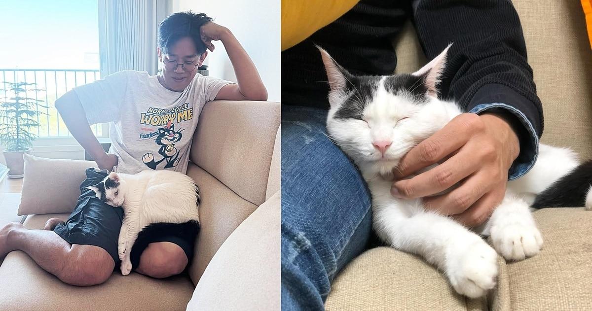 본문 이미지 - 김명철 수의사와 반려묘 &#39;사모님&#39;&#40;김명철 수의사 인스타그램 갈무리&#41; ⓒ 뉴스1