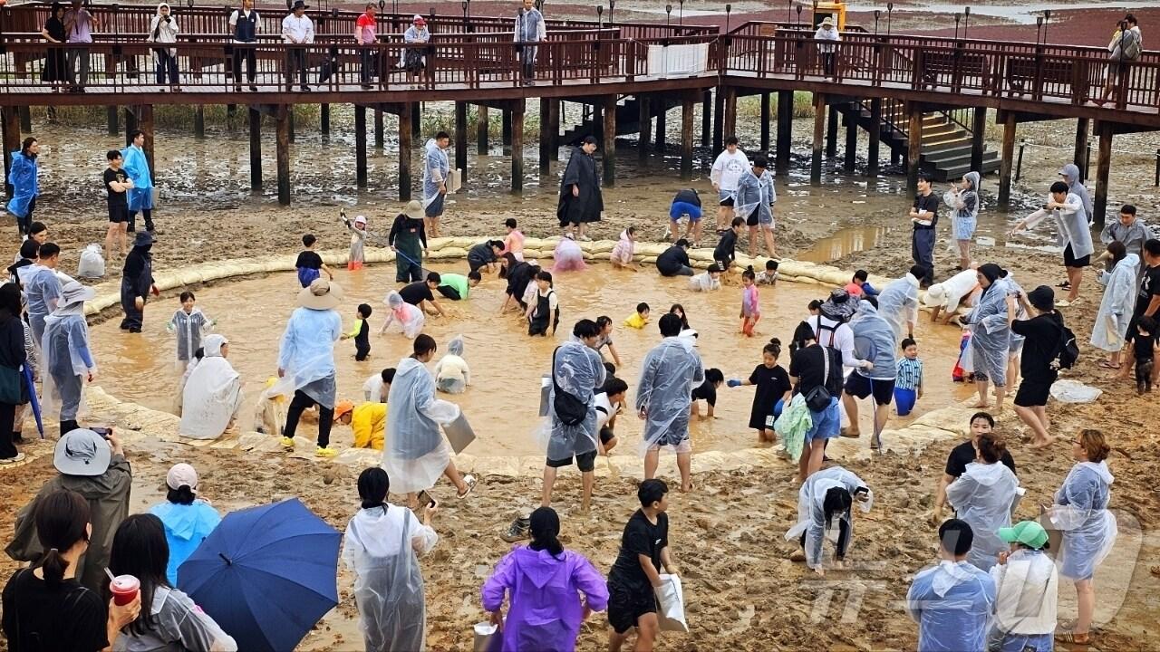 본문 이미지 - 지난해 열린  무안황토갯벌축제 장어잡기 체험&#40;무안군 제공. 재판매 및 DB금지&#41; /뉴스1 