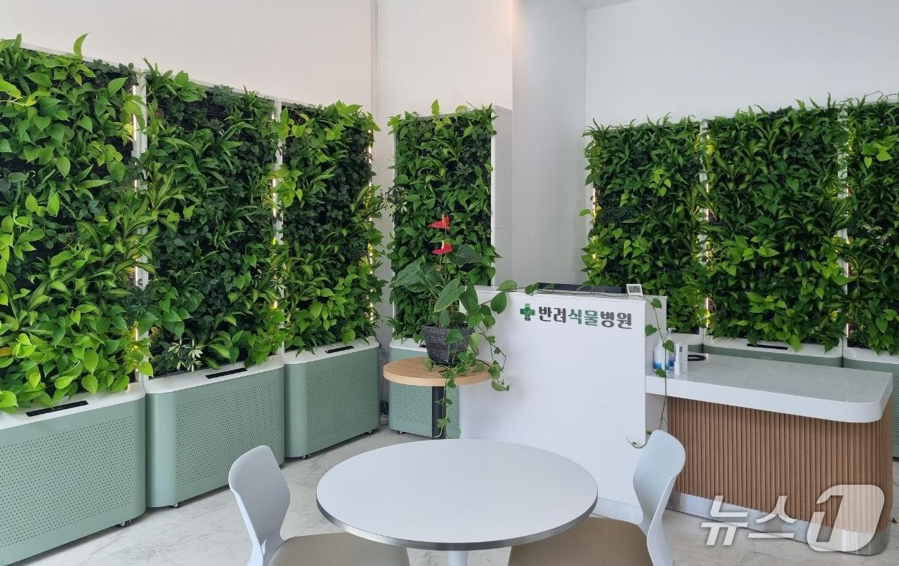 본문 이미지 - 울산 반려식물병원. &#40;울산시 제공. 재판매 및 DB 금지&#41; /뉴스1