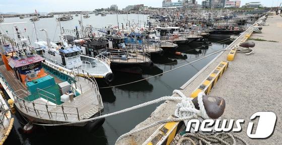 본문 이미지 - 10일 전북 전역에 강풍주의보가 발효되면서 모든 여객선의 운행이 통제됐고 어선도 피항했다. /뉴스1 