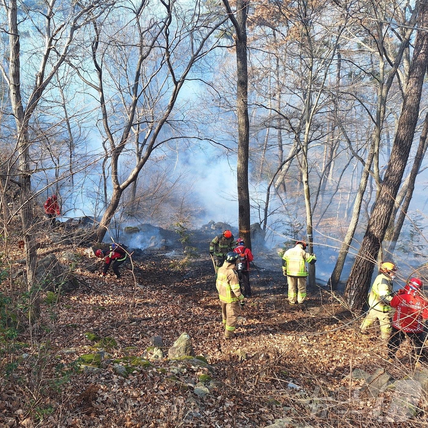 본문 이미지 - 전남 여수 중흥동 산불.(여수소방 제공. 재배포 및 DB 금지)