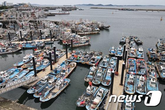 본문 이미지 -  충남 보령 대천항에 선박들이 정박한 모습. /뉴스1 ⓒ News1 김기태 기자
