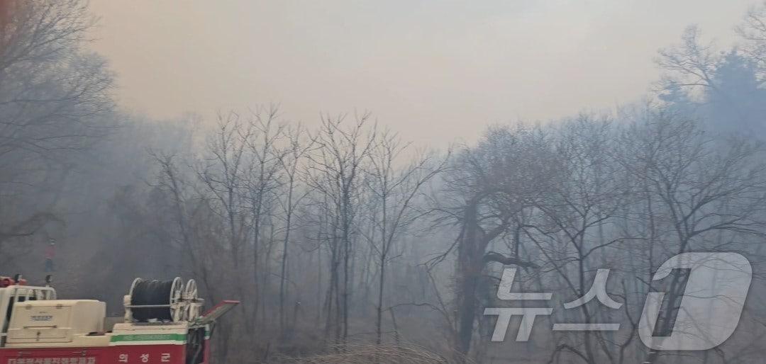 본문 이미지 - 10일 오후 3시 14분쯤 경북 의성군 의성읍 비봉리의 한 야산에서 불이 나 당국이 진화하고 있다.(독자 제공.재판매 및 DB 금지)2026.1.10/뉴스1 ⓒ News1 이성덕 기자