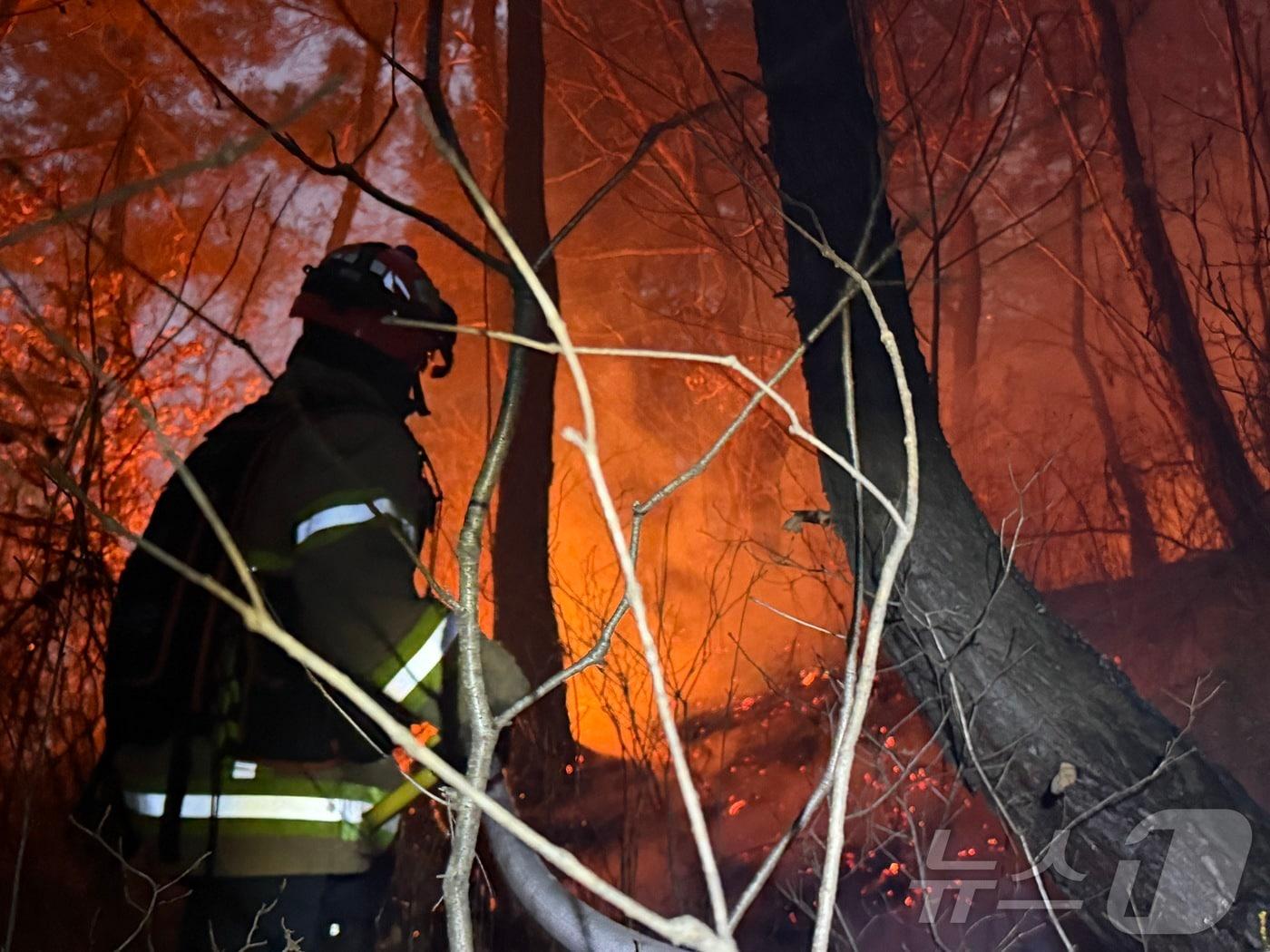 본문 이미지 - 10일 오후 3시 14분쯤 경북 의성군 의성읍 비봉리의 한 야산에서 대형 산불이 발생해 소방 당국이 대응2단계를 발령하고 야간 진화에 나서고 있다. (경북소방안전본부 제공. 재판매 및 DB 금지) ⓒ News1 남승렬 기자