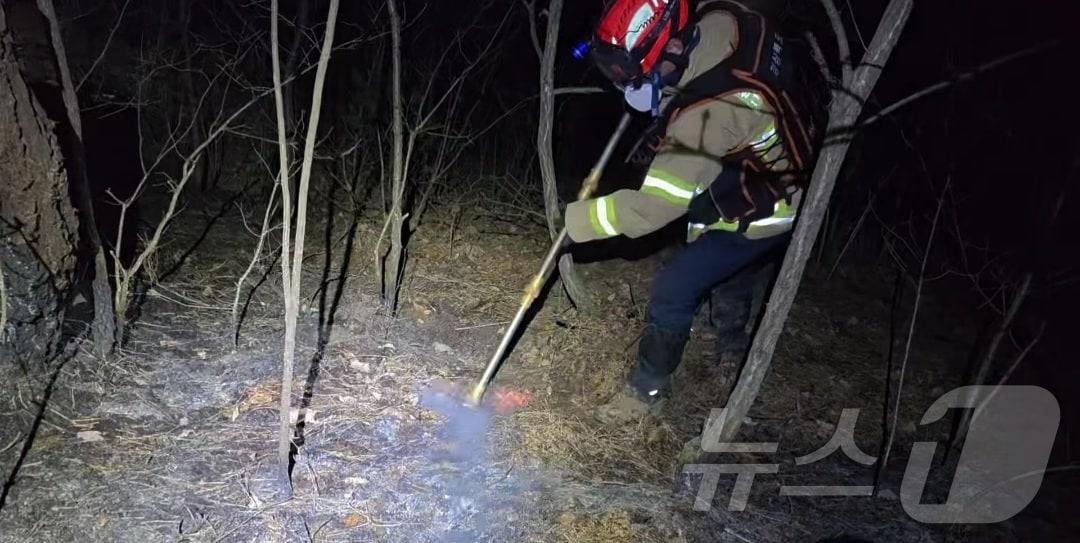 본문 이미지 - 산불 자료사진. /뉴스1