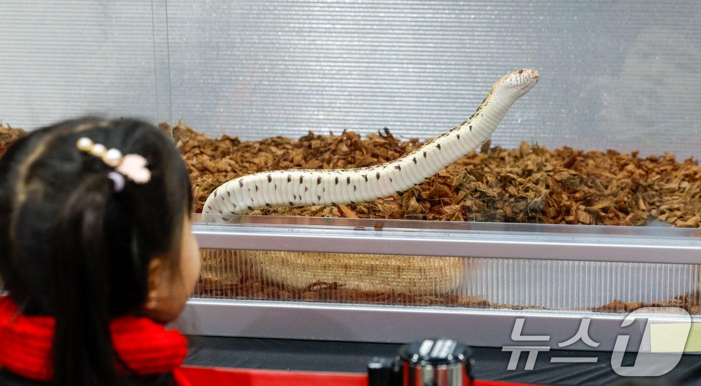 본문 이미지 -  해당 기사 내용과 직접적 관련 없는 자료 사진. ⓒ 뉴스1 
