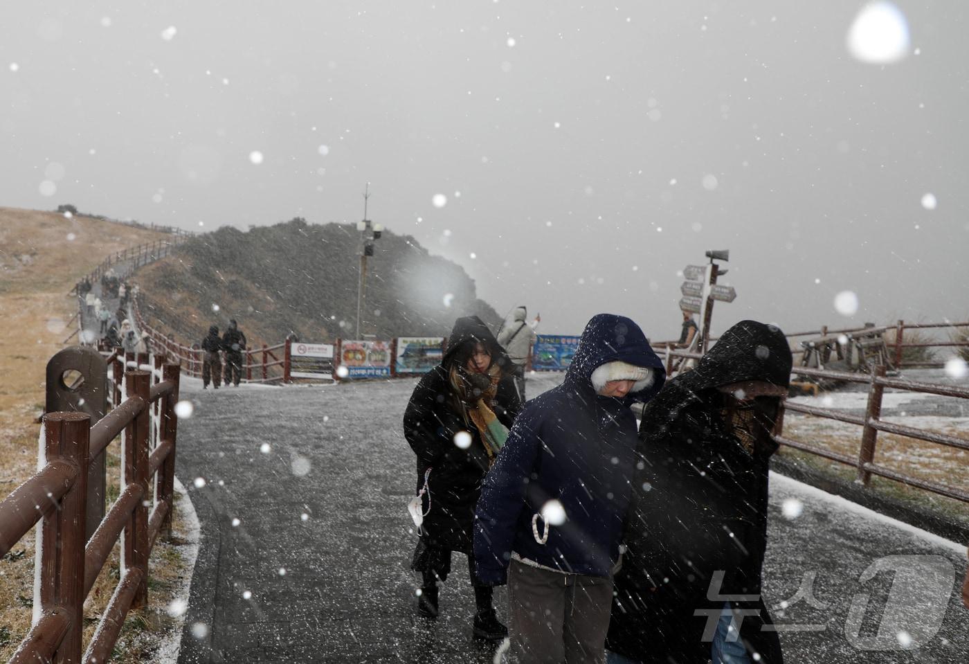 본문 이미지 - 제주에 대설·강풍·풍랑특보가 내려진 지난달 11일 오후 서귀포시 성산일출봉에 눈보라가 치고 있다. 2026.1.11 / ⓒ 뉴스1 오미란 기자