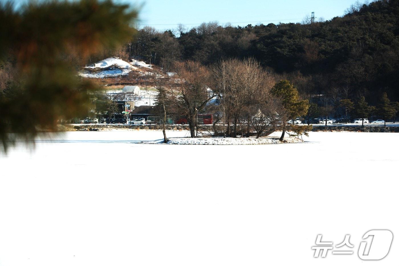  (제천=뉴스1)손도언 기자= 제천지역에 한파주의보가 발효된 가운데, 제천 의림지가 꽁꽁 얼었다. 의림지 내에 위치한 순주섬./2026.1.11/뉴스1
